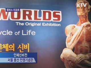 인체의 경이로움을 느껴보세요