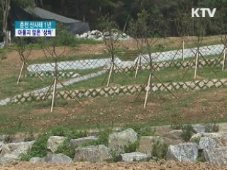 춘천 산사태 1년···아물지 않은 상처