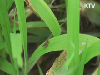 '한강스토리텔링 투어' 아세요 [국민리포트]