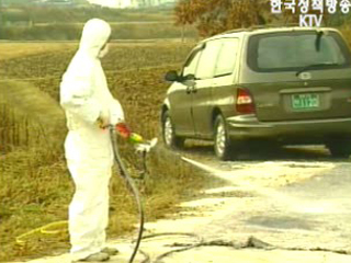 AI 추가발생지역 방역작업 본격화