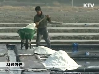 천일염, 고부가가치 세계명품 육성