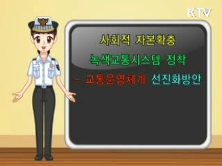 대중교통선진화방안 2