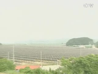 아프리카 등 '녹색 대외원조' 본격화