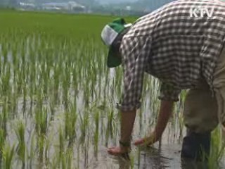 이번 달 평년 강수량 회복…곧 찜통더위