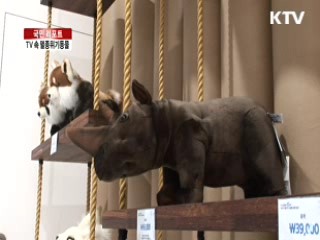 UHD TV로 보는 '멸종위기 동물들' [국민리포트]