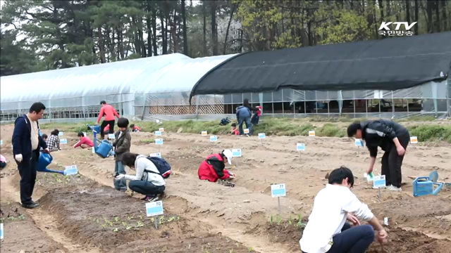 정부 '도심 텃밭' 조성…"채소 키워요" [국민리포트]