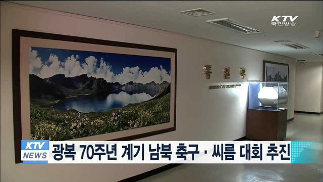 광복 70주년 계기 남북 축구·씨름 대회 추진