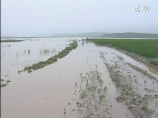 국제적십자, 수해용 대북식량지원