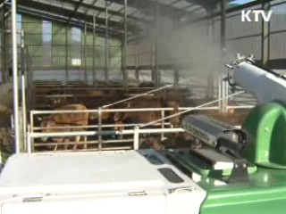 정부 "구제역 백신 부작용 사례 없어"