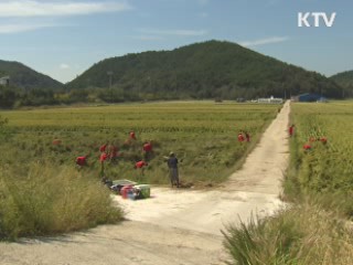 태풍 피해 복구 일손 부족