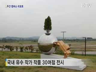 '평화누리에서 만나다'