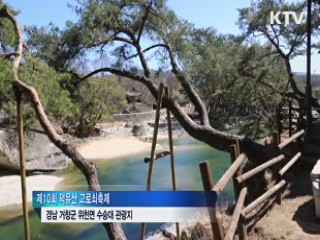 남녘 봄소식 전하는 덕유산 고로쇠 [시니어 리포트]