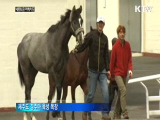 제주산 경주마 최고가 경신