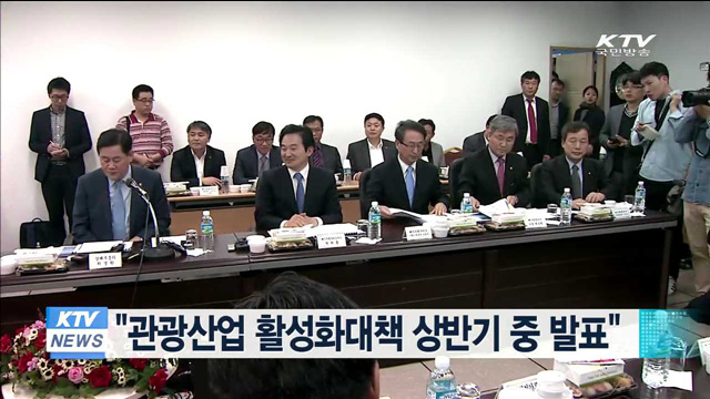 "관광산업 활성화대책 상반기 중 발표"