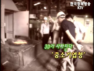 3D 중소기업 기피 현실 문제점 진단