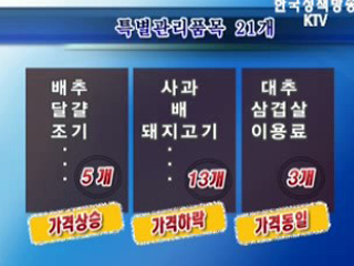 정부, 추석물가 안정 총력