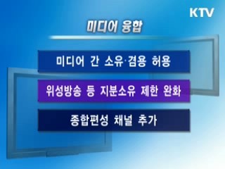 TV-신문 교차소유 허용