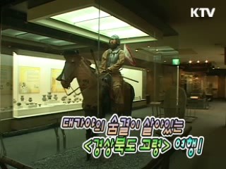 대가야의 숨결이 살아있는<경상북도 고령>여행!