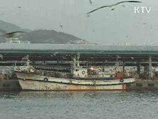 "오염 해역 조업금지수역 지정·운영"