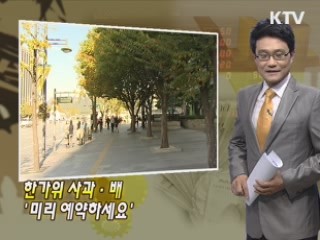 한가위 사과·배 '미리 예약하세요'