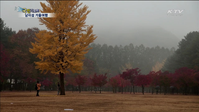 '단풍선' 타고 남이섬 가을여행