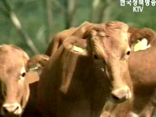 품질관리로 `승부`