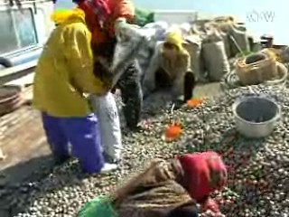 어업용 유류 면세혜택 축소