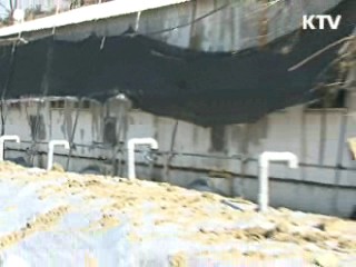 구제역 가축 비매몰 방식 처리 시범 도입