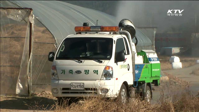 구제역·AI 추가 확산 막기위해 '긴급방역'