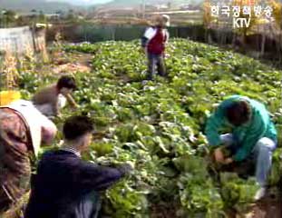 농촌소득 도시 80% 미만..격차는 완화