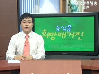 수확기 쌀 시장 안정 대책