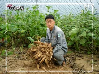 귀농, 희망을 일구다