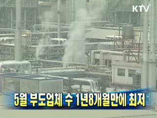 5월 부도업체 수 1년8개월만에 최저