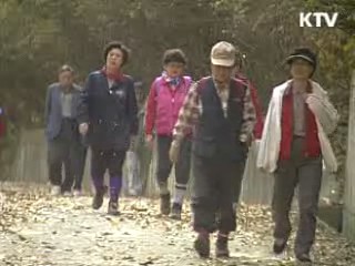 본격적인 단풍철, 안전사고 '주의'