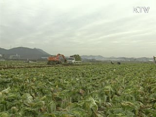 "근본적인 농산물 가격안정 대책 마련"