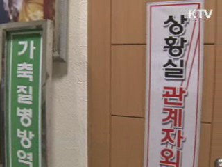 구제역 경기도까지 확산…'경계' 상향 조정