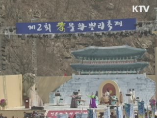 효문화뿌리축제, 2011 문화관광축제 선정