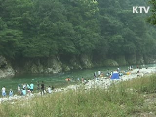 가족과 함께 자연체험 '환경 사랑 배워요'