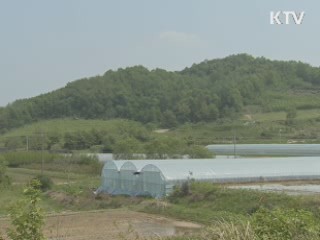 전국 어디서나 이름만 대면 조상땅 조회