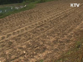 KTV NEWS 9 (78회)