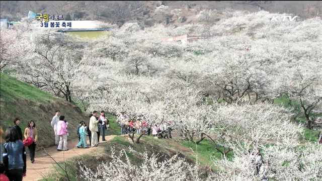 '봄꽃 축제'로 봄을 맞아 봄