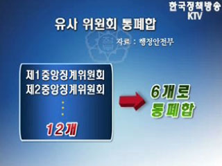 행정안전부 위원회 74% 폐지