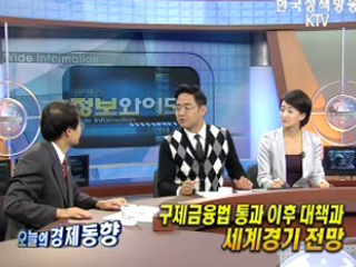 구제금융법 통과 이후 대책과 세계경기 전망