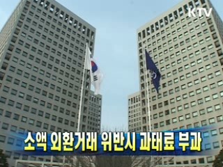 소액 외환거래 위반시 과태료 부과