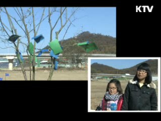시민과 함께 하는 4대강 숲 가꾸기