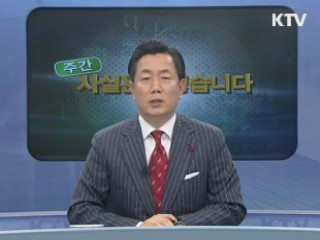 "정부-서울대교구 유착 의혹 사실무근"