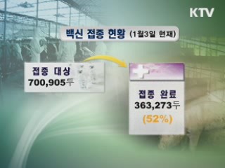 발생지역 확대···광역 백신 접종 