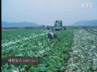 경제 타임머신