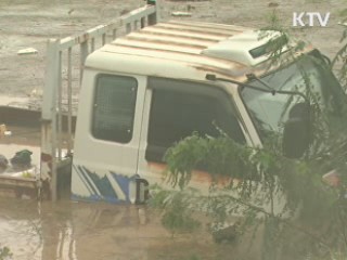 태풍 '산바' 영남 내륙 관통···포항 644mm 폭우