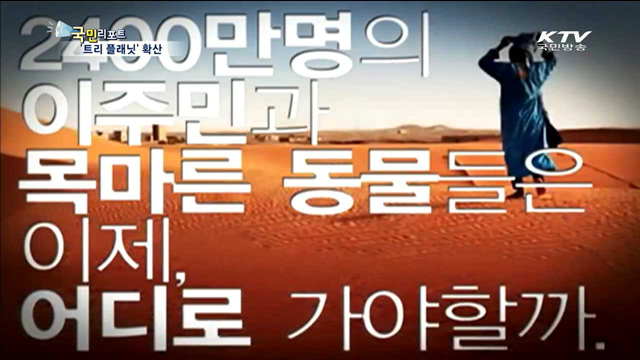 재미삼아 심은 나무 숲이 되다